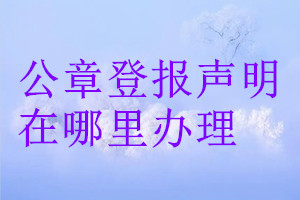 公章登報(bào)聲明在哪里辦理